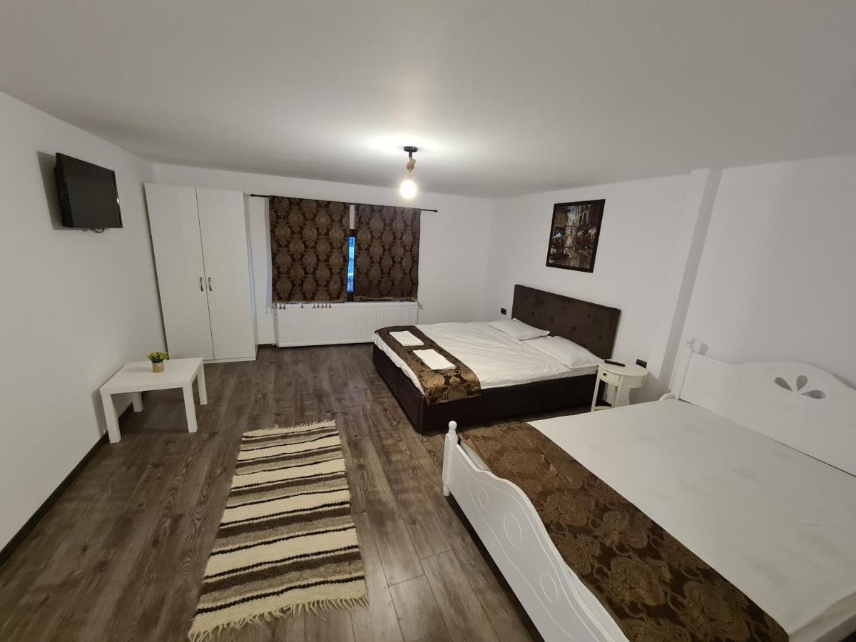 Vila Sia Hotel Râmnicu Vâlcea Екстериор снимка