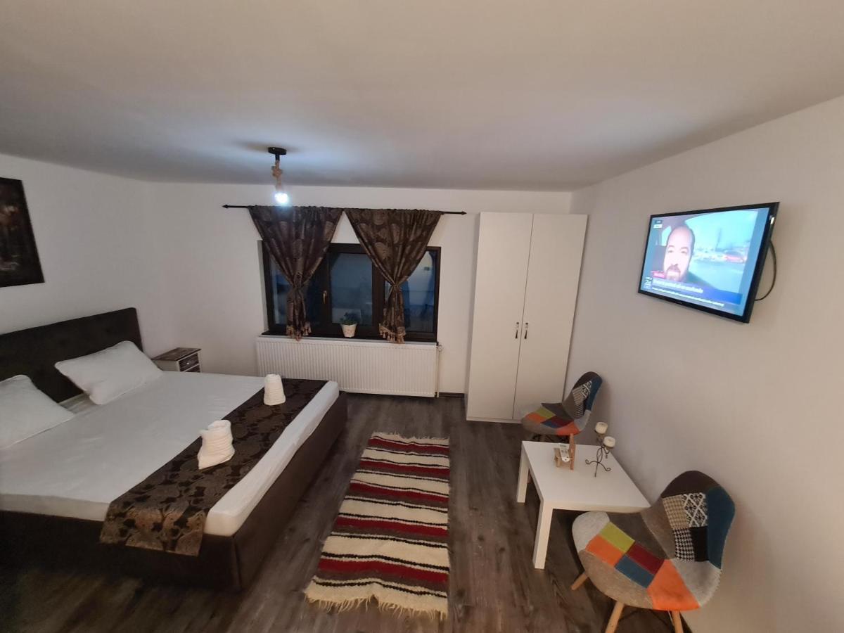 Vila Sia Hotel Râmnicu Vâlcea Екстериор снимка